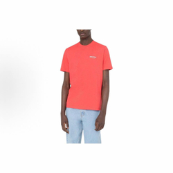 Футболка Dickies