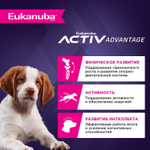 Сухой корм Eukanuba Puppy Medium Breed <12 months для щенков средних пород с птицей 800 г