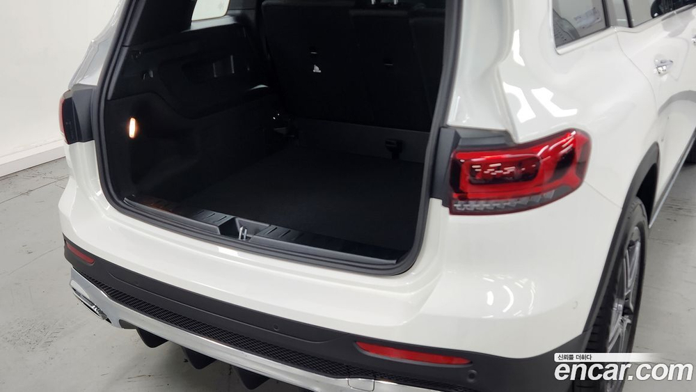 Mercedes-Benz GLB-Class X247 GLB250 4MATIC (10.2023)