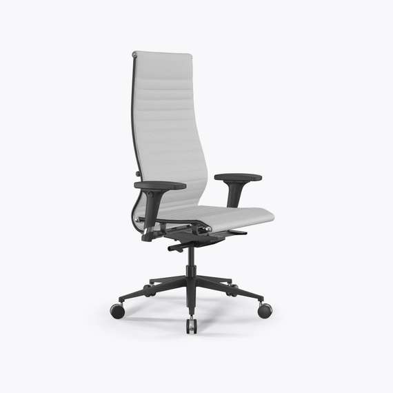 SynchroSit 10 B1-110D - Extra /Km02/Nb02/D02P(M23.B11.G19.W25)