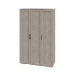 Спальня София шкаф 3-х ств. СШ-25