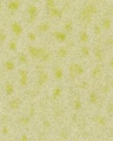 Zara Home Ароматический спрей для тканей и одежды Lime & Peppermint 190 мл, освежитель, аромат свежий цитрусовый