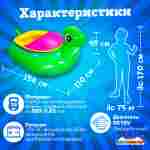 Электрическая бамперная лодка «Черепашка» зелёная, на пульте