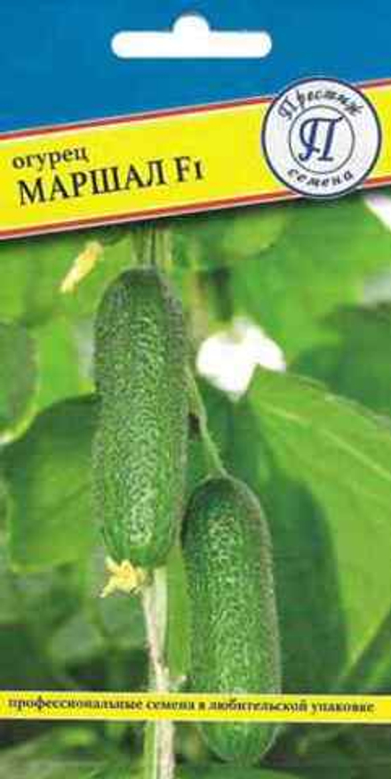 Огурец Маршал F1  5шт Престиж