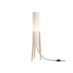 Напольный светильник (торшер) Freya FR5543FL-01T