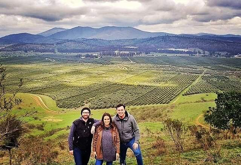 Оливковое масло DELEYDA FINE SELECTION 500 мл Чили