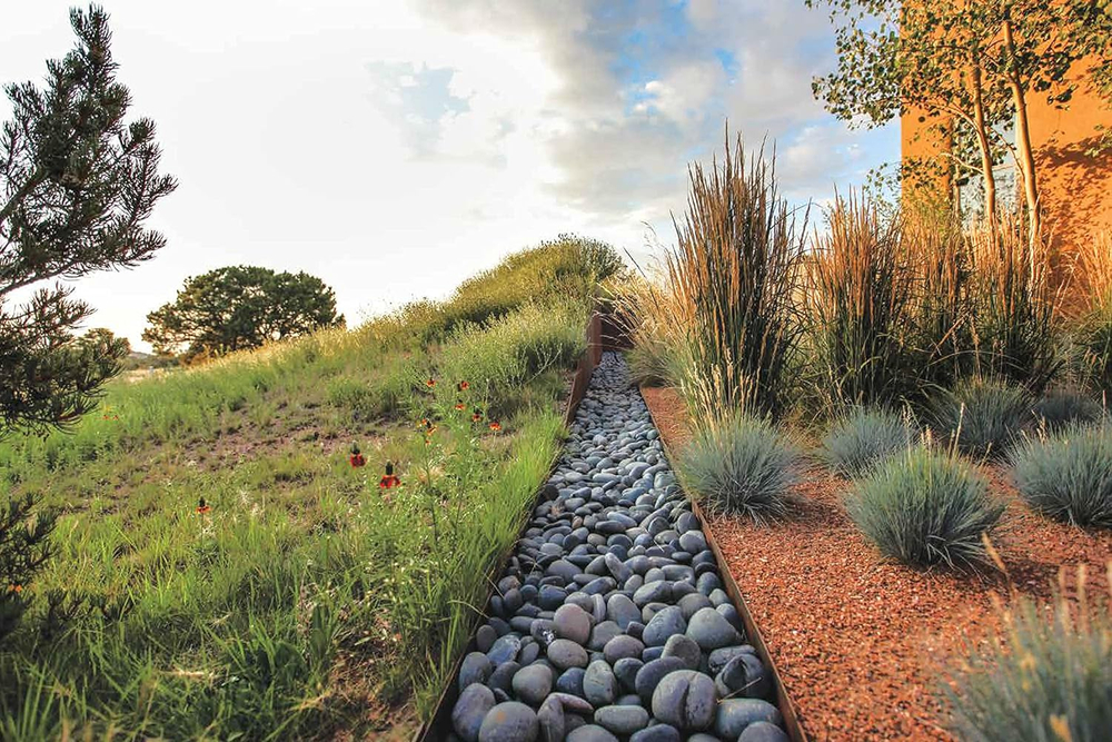 Beyond the Garden: Designing Home Landscapes with Natural Systems