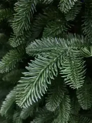 Елка Нормандия 215 см., темно зеленая, стройная, литая хвоя, Triumph Tree (72118)