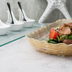 Блюдо овальное 34*14,5 см h3,5 см Gray Pearl Spots Sea Wave Frutti di Mare P.L. [1]