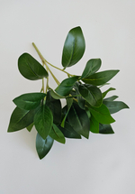 Куст лавр / Арт 6391