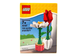 Конструктор LEGO 40187 Комнатные цветы