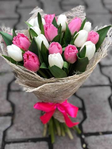 Букет из 19 белых и розовых тюльпанов