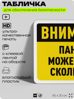 Табличка для обеспечения безопасности "Внимание, пандус может быть скользким", для офиса, по охране труда для предприятия, организаций, 40х30 см, Silver Plane x Айдентика Технолоджи