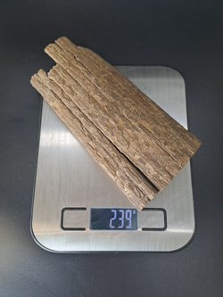 Бивень мамонта для коллекции