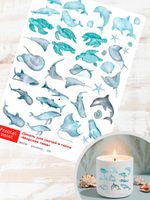 Трансфер переводной - декаль для свечей и гипса морская тема 008