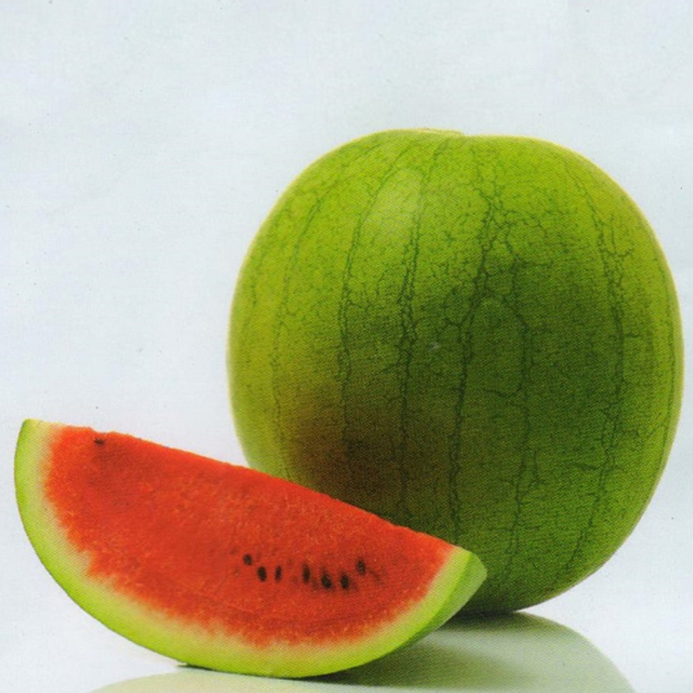 Эль Уафи F1 семена арбуза (Sakata / Саката)