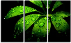 Модульная картина "Зеленая роса"