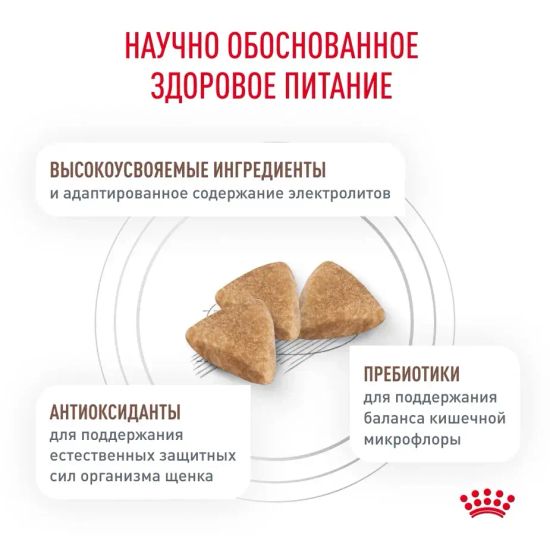 Royal Canin Gastro Intestinal Диета для щенков при нарушениях пищеварения 2,5 кг Royal Canin Gastro Intestinal Диета для щенков при нарушениях пищеварения 2,5 кг