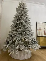 Заснеженная ель "Аляска"