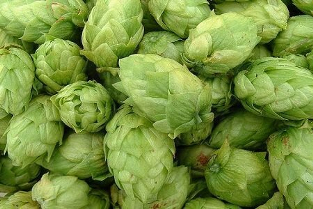 Хмель Simcoe, 1 кг