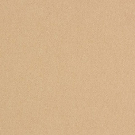 LANA Бумага для пастели «Lana Colours», 160 г/м², 21х29,7 см, 25 л, светло-коричневый