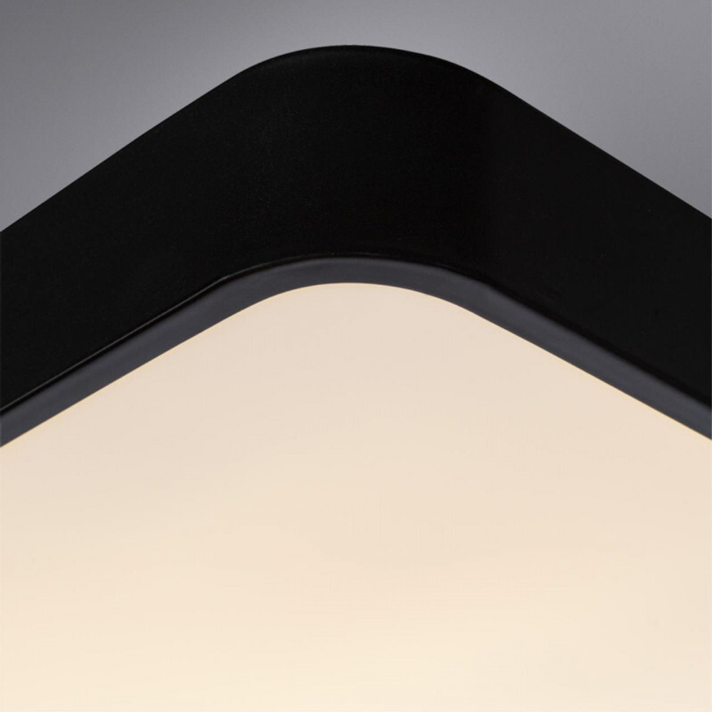 Накладной светильник Arte Lamp A2663PL-1BK