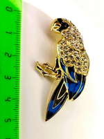Брошка "Попугай"
