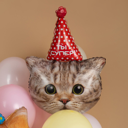 К Фигура, Голова, Котенок в колпачке, 32"/81 см