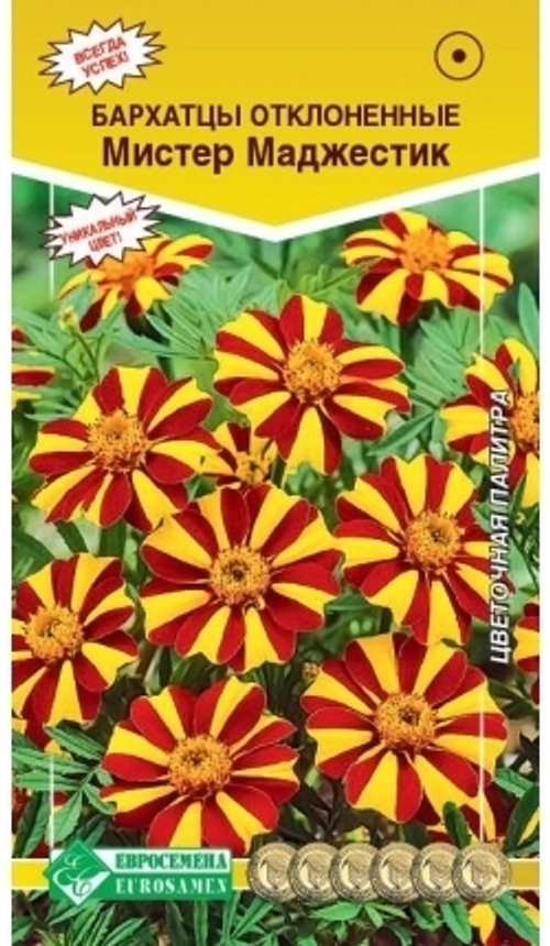 Бархатцы отклоненные Мистер Маджестик