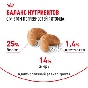 Сухой корм Royal Canin Cocker Adult для взрослых собак породы Кокер Спаниель от 12 месяцев