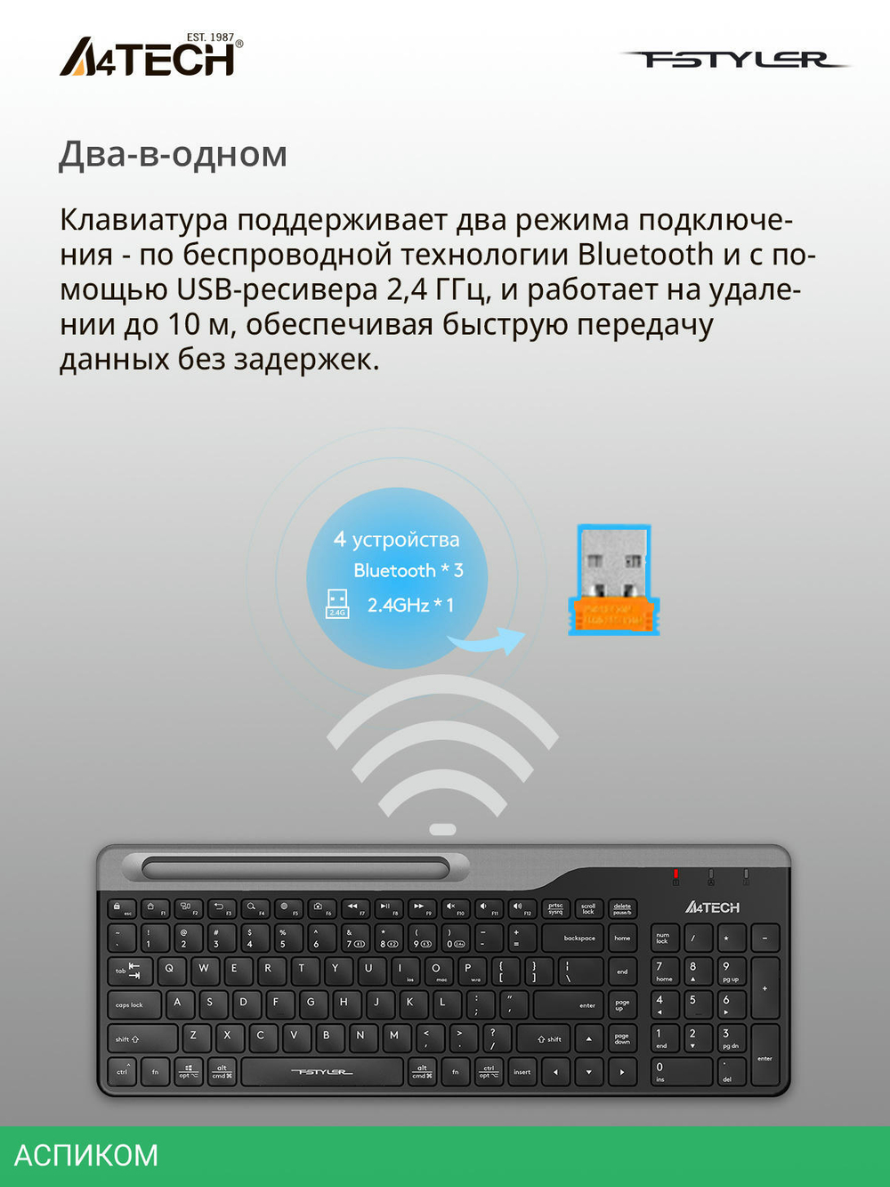 Клавиатура A4Tech Fstyler черный/серый (FBK25)