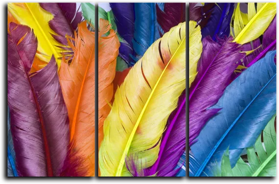 Модульная картина "Яркое перо"