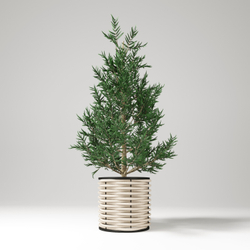 Вазон низкий