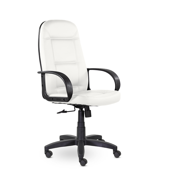 Кресло Идра Бюджет В пластик 727 S-0402 (белый)