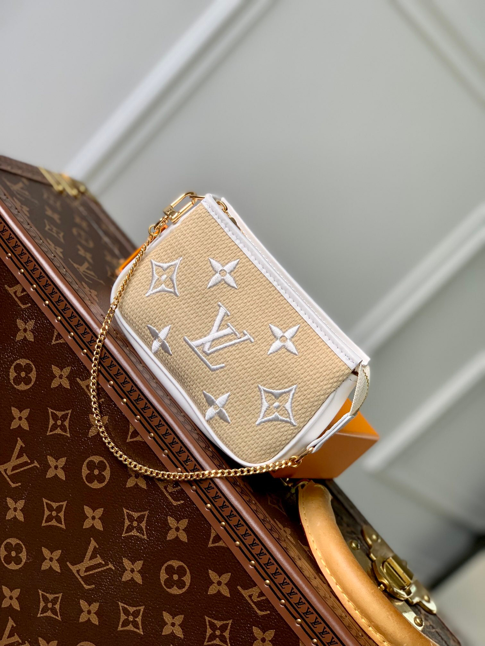 Louis Vuitton Mini Pochette Accessoires