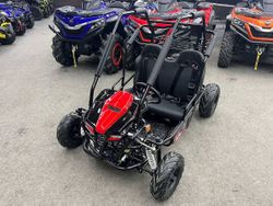 Багги SHARMAX Тигр 250