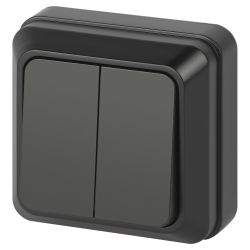 Выключатель Intro Quadro 2-104-05 двойной 10А-250В IP20 ОУ антрацит | Intro