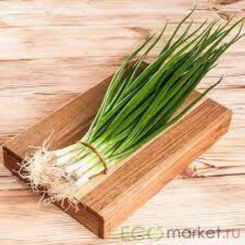 Лук зеленый 100 гр