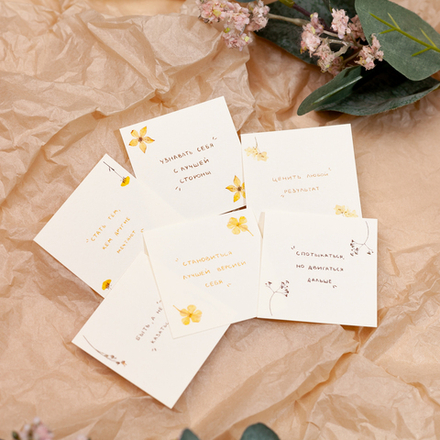 Набор стикеров "Напутствие" 🌾