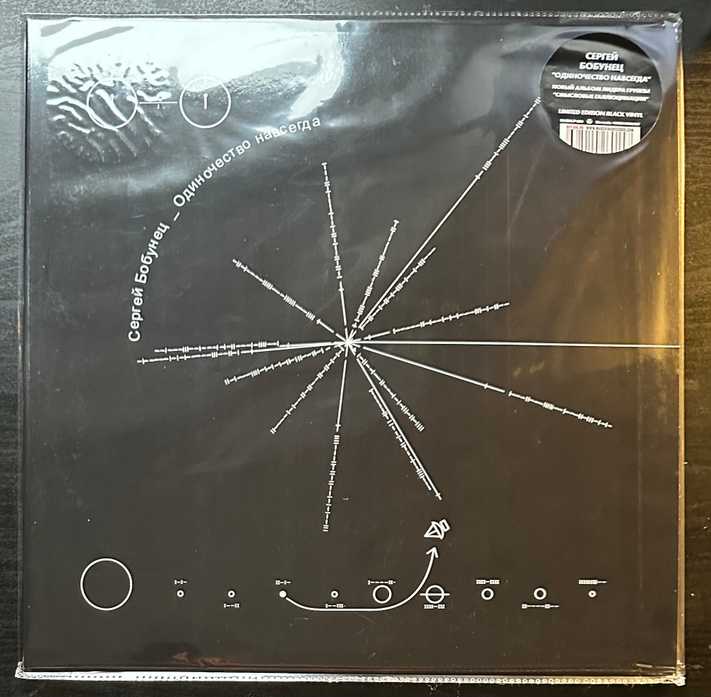 Сергей Бобунец- Одиночество навсегда (2022г.)