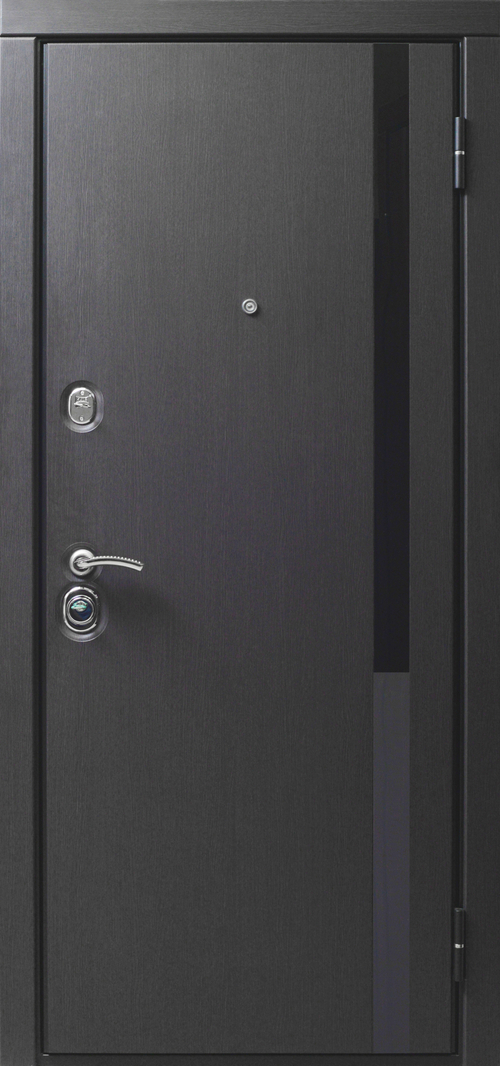 Входная дверь Лайн Блэк