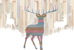 Коллекция Животные