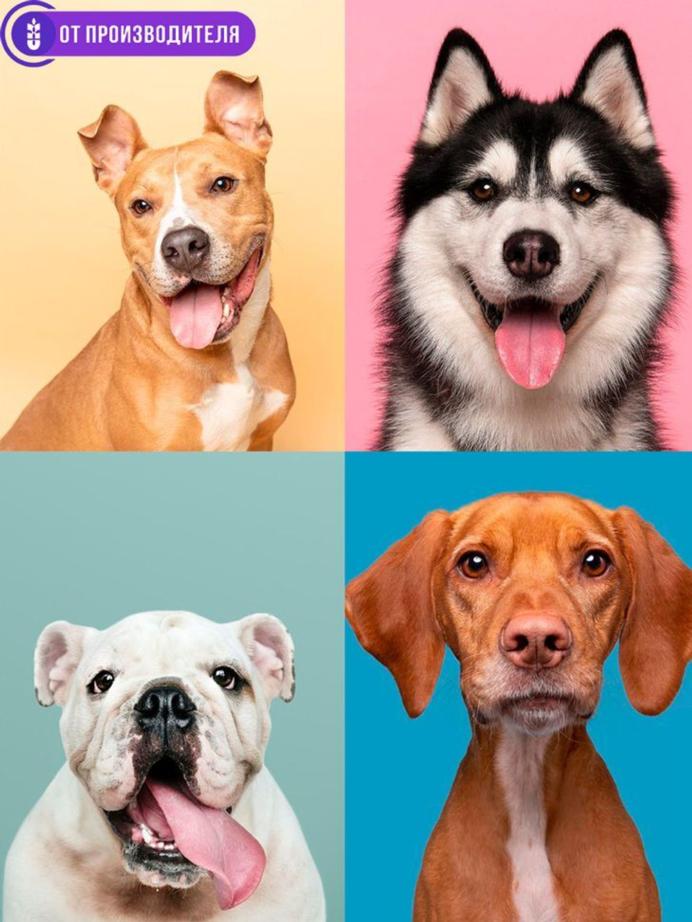 b1ae5d0d6e47469eeb9b85e7759247aa