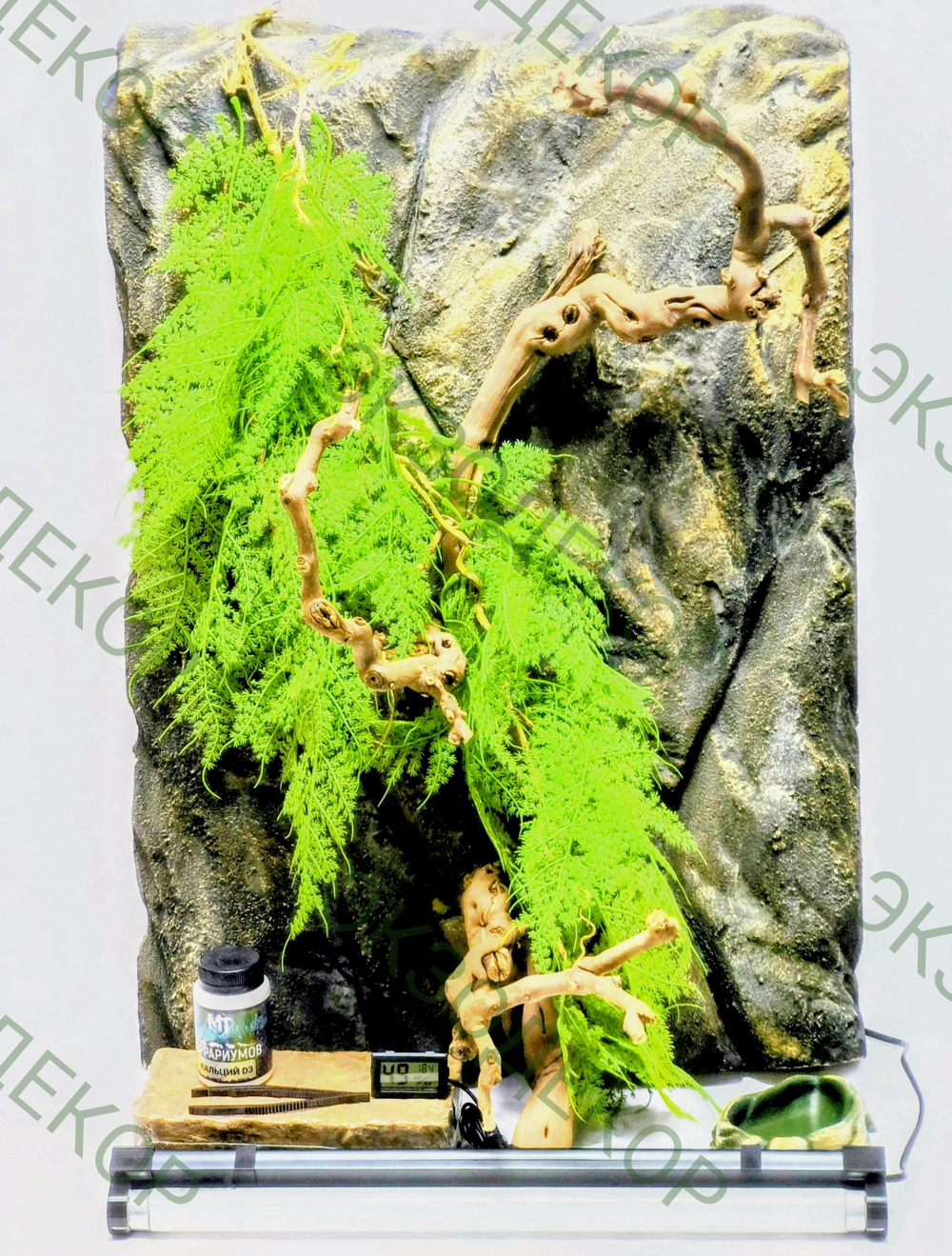 Полный комплект для Бананоеда. Террариум 40х40х60 и всё необходимое для содержания.