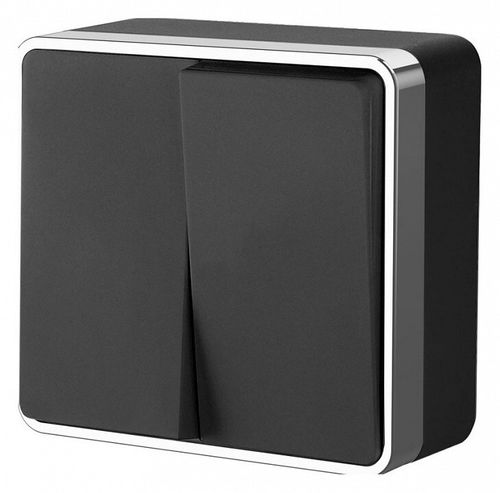 Выключатель двухклавишный Werkel W5020035