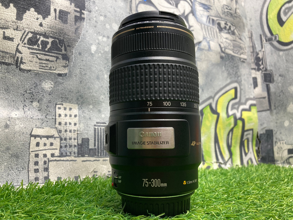 Canon EF 75-300mm 4-5.6 IS