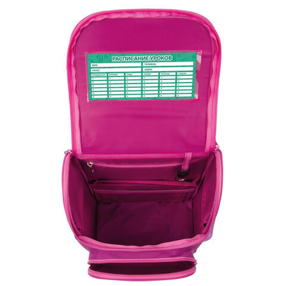 Ранец ПИФАГОР BASIC, с эргономичной спинкой, "Smart owls", 35х28х18 см, 229933