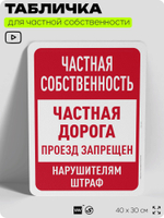 Табличка для частной территории "Частная собственность, дорога", на дом, для участка, организаций, предупреждающая, 40х30 см, Silver Plane x Айдентика Технолоджи
