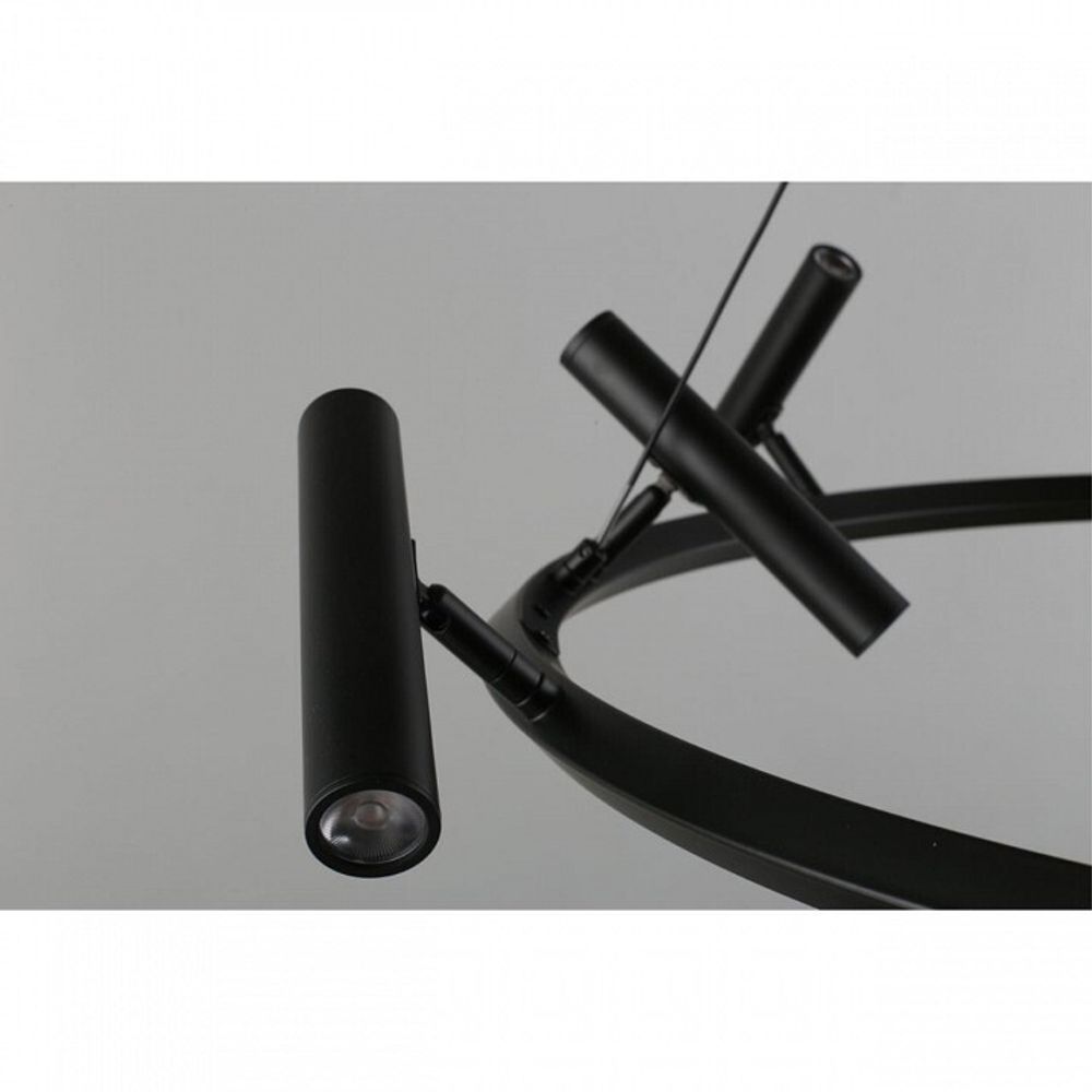 Подвесная люстра Aployt Honor APL.067.03.50