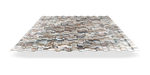 Copy: Профлист МП20 с покрытием Ecosteel